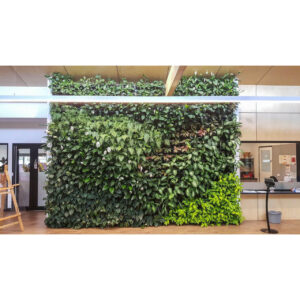 Office with Indoor Gro-Wall Vertical Garden Display