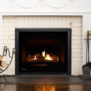 Rinnai 650 Gas Fireplace Installed Indoor